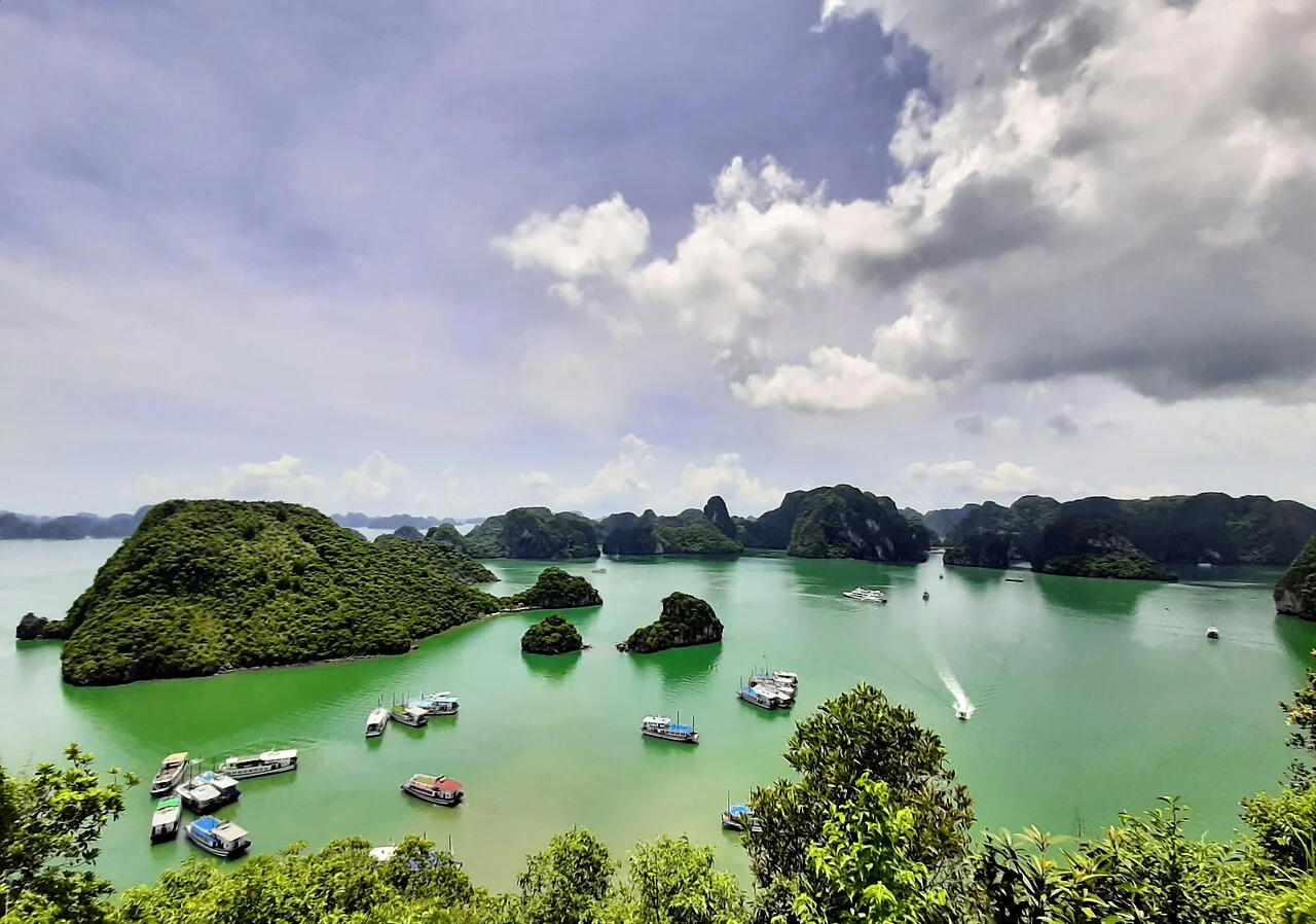 Pilares de caliza en la bahía de Ha Long.